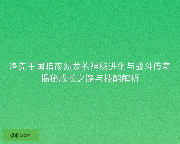洛克王国暗夜幼龙的神秘进化与战斗传奇揭秘成长之路与技能解析